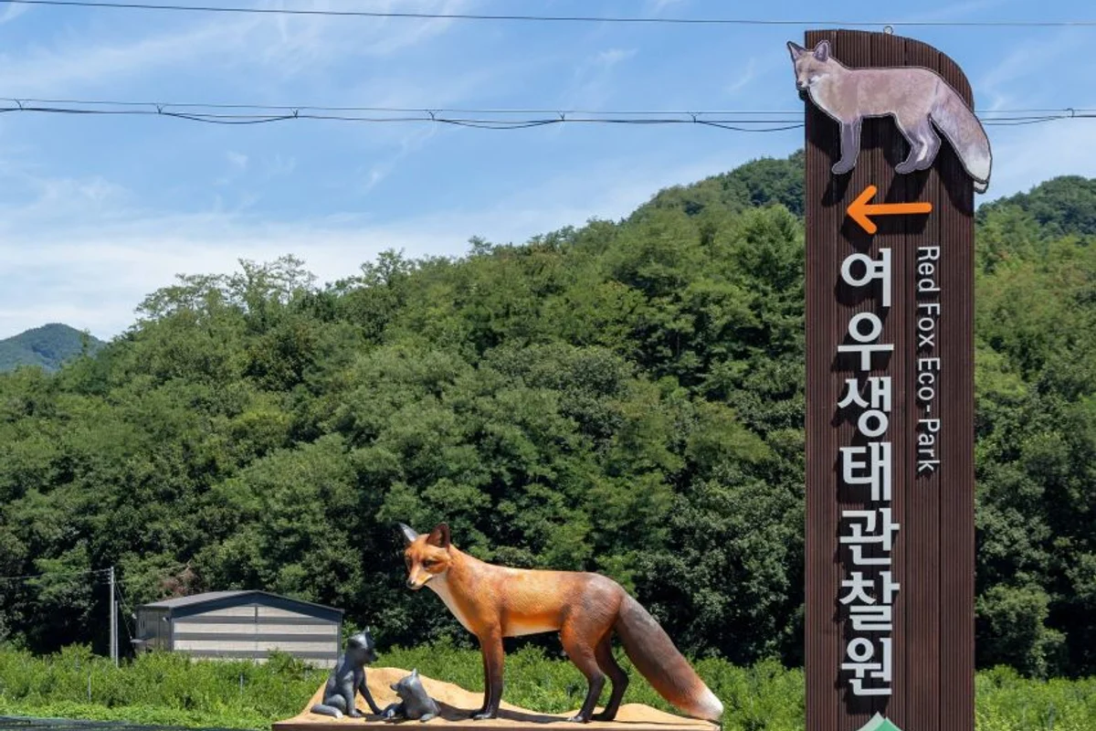 여우 생태관찰원 - 영주 여행