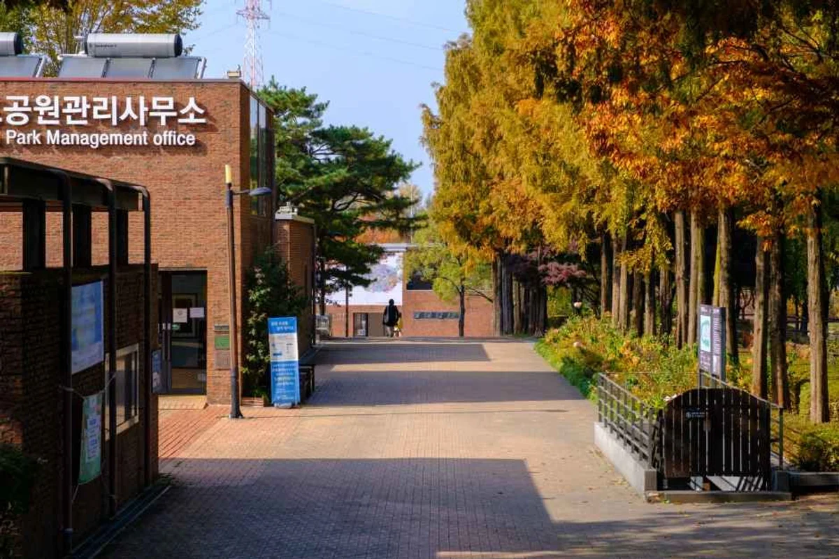 여의도공원 - 영등포글램핑 여행