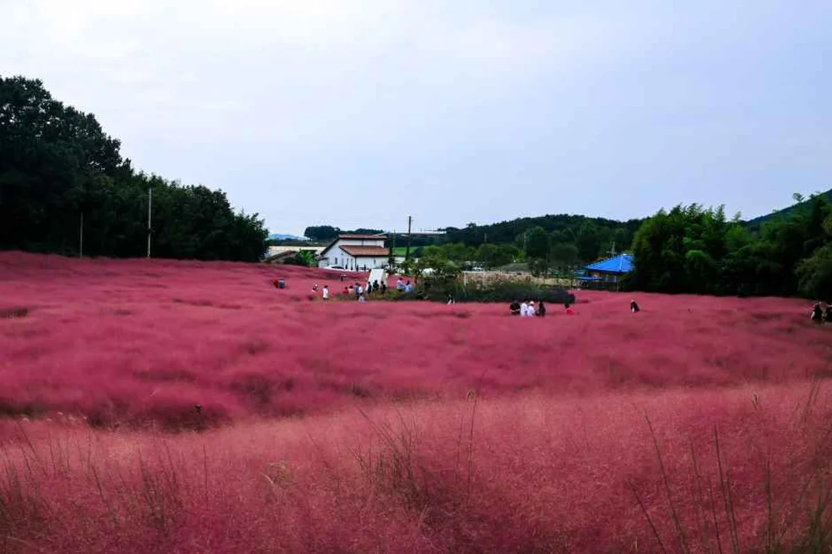 청계천 판잣집 테마존 - 성동구 여행
