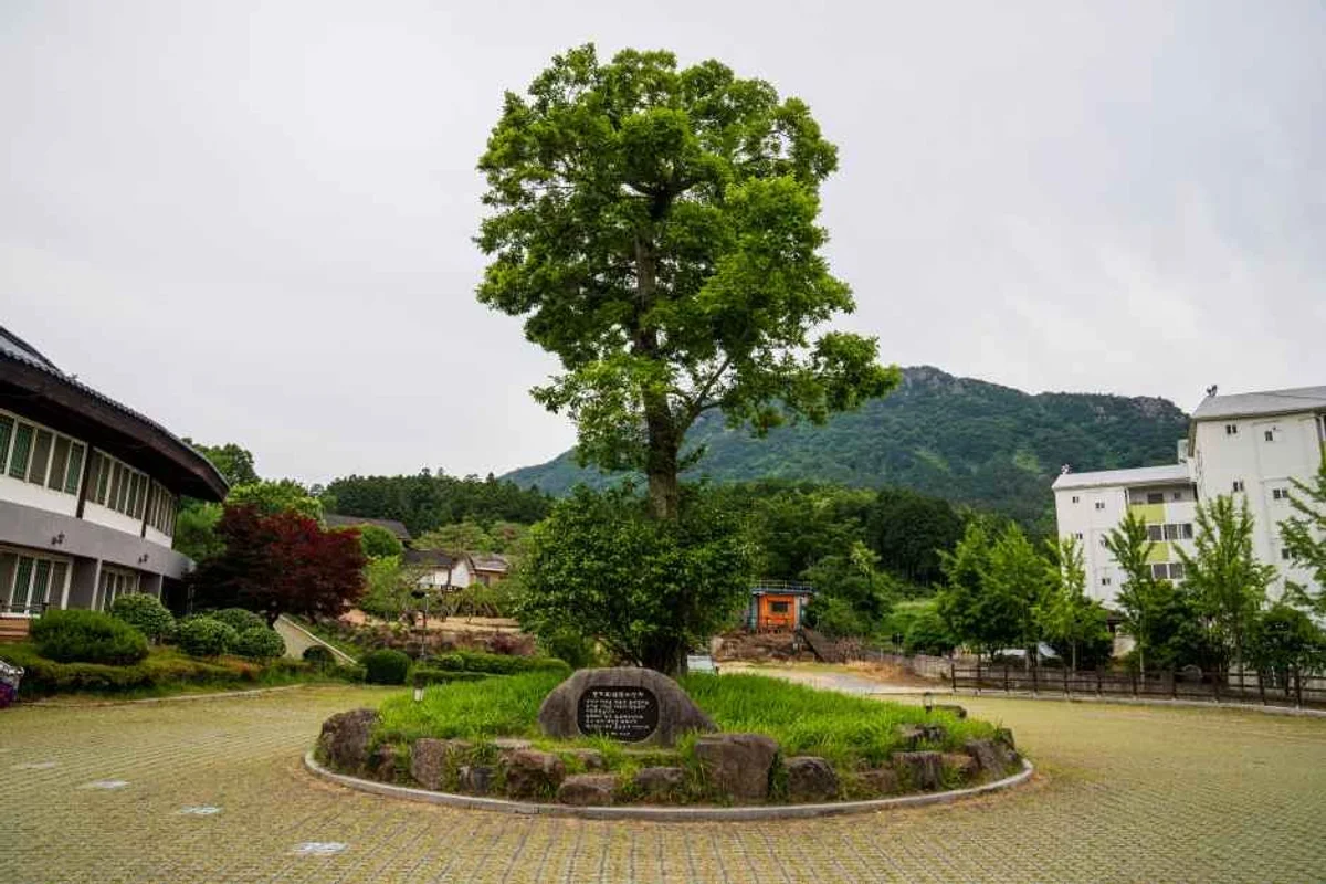 장흥 야경 명소 (출처 : 한국관광공사)