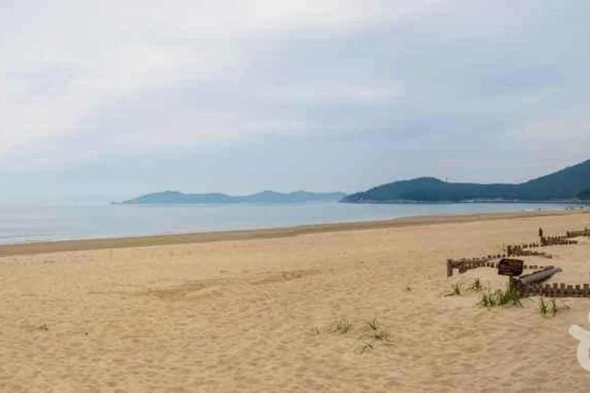 청해포구촬영장 - 완도여행 여행