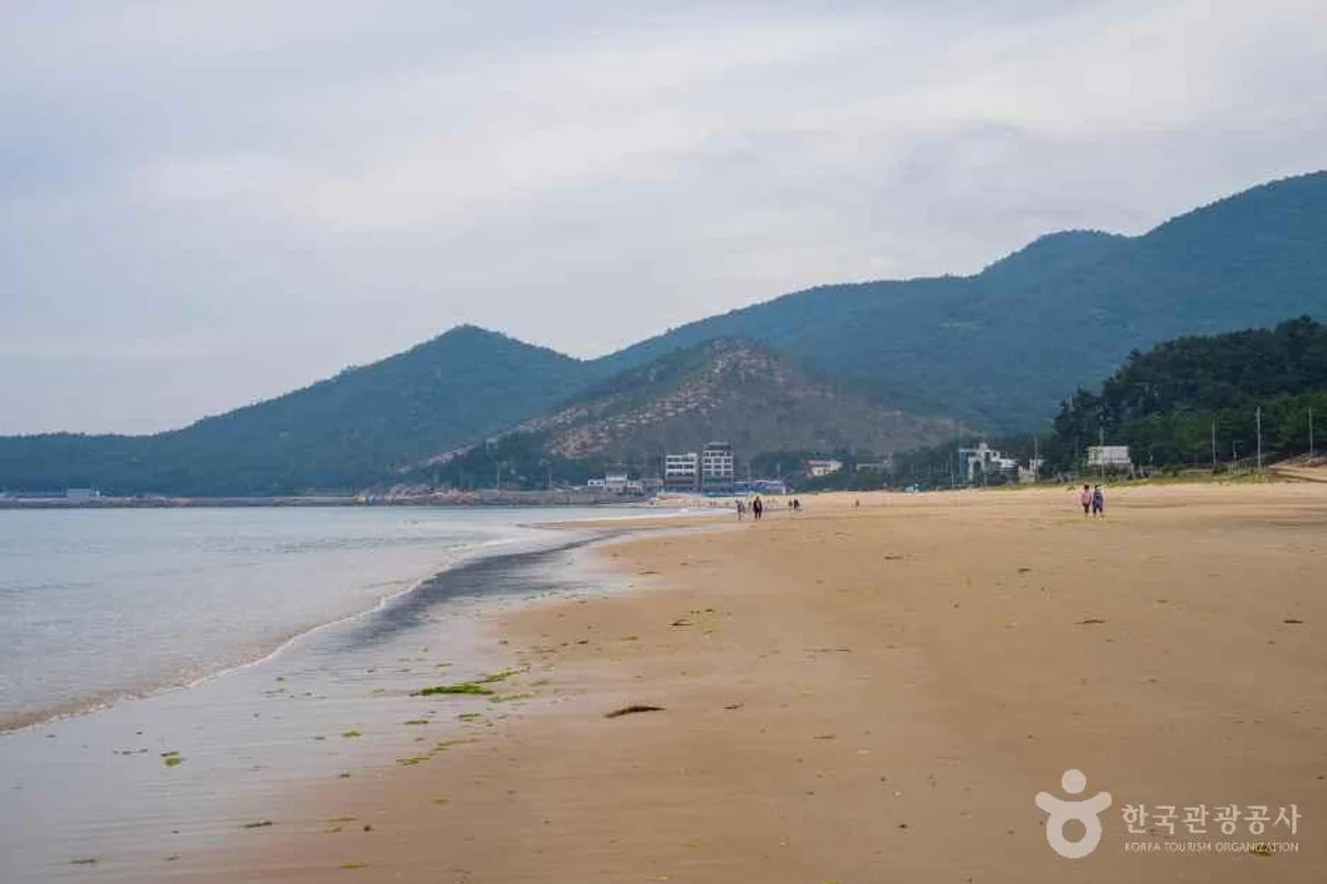 남해 상상양떼목장 편백숲 - 남해여행 여행
