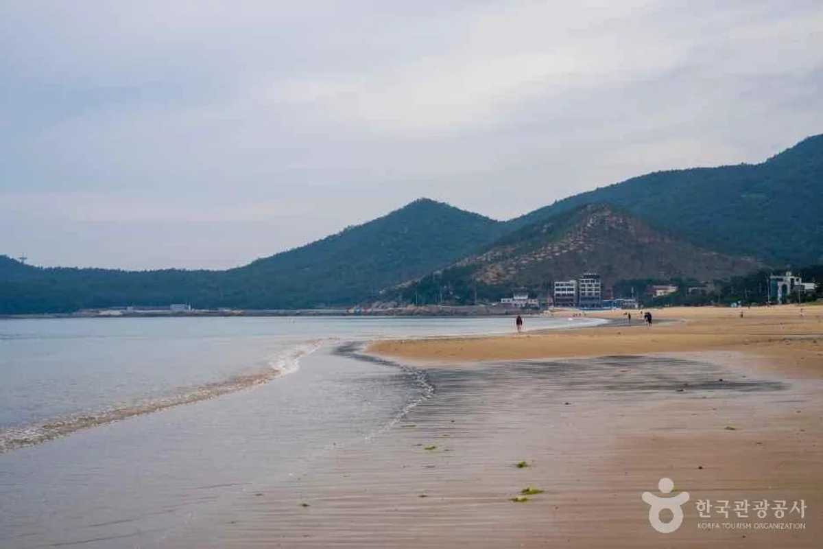 남해양떼목장 양모리학교 - 남해여행 여행