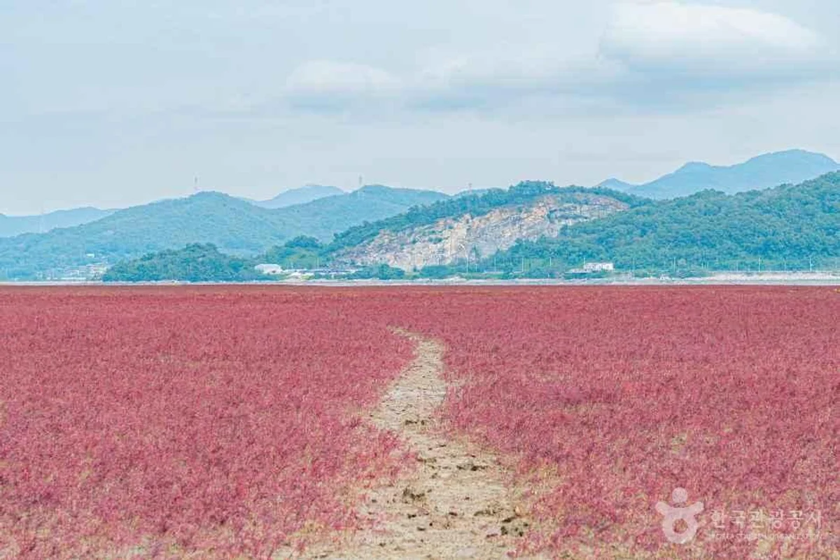 글램하이 글램핑 - 인천캠핑 여행