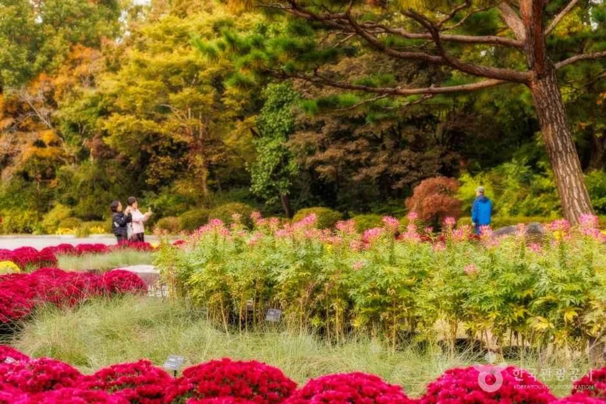 독산성 세마대지 - 오산여행 여행
