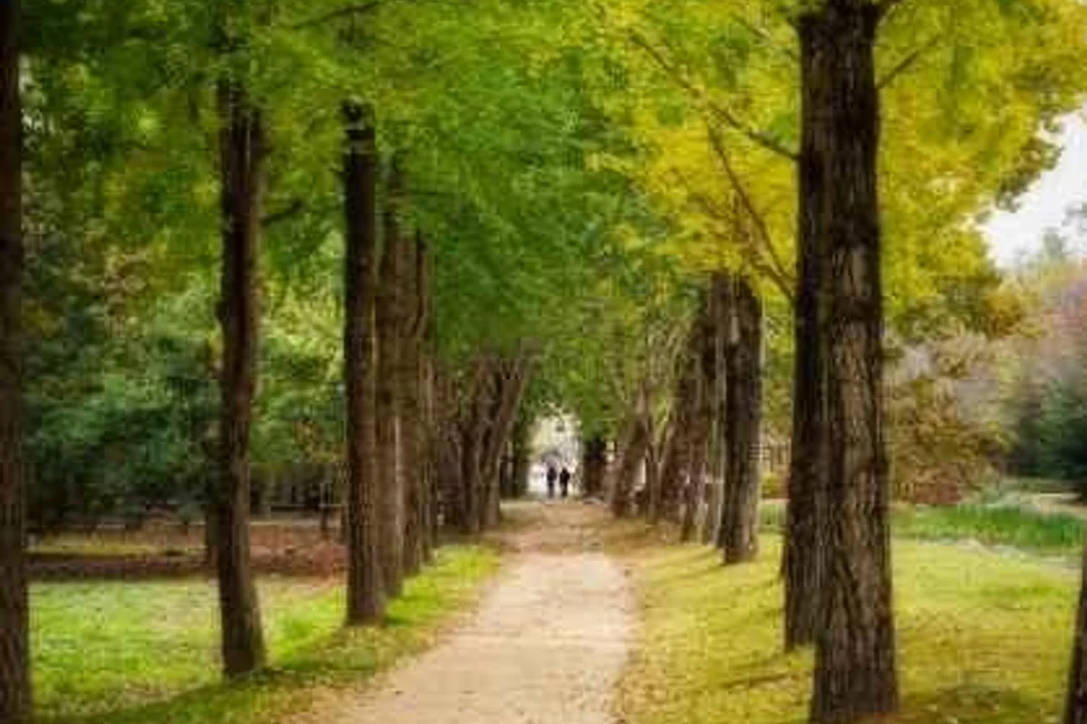 경기도국민안전체험관 - 오산시 여행