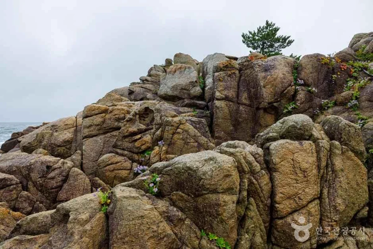 고성군 숙소 (출처 : 한국관광공사)