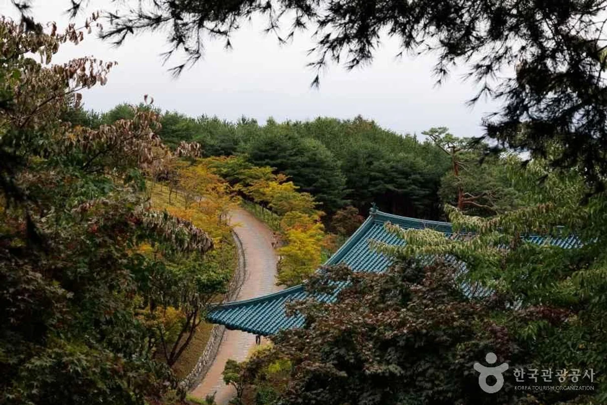 낙산해수욕장과 낙산사 횟집 - 낙산사 여행