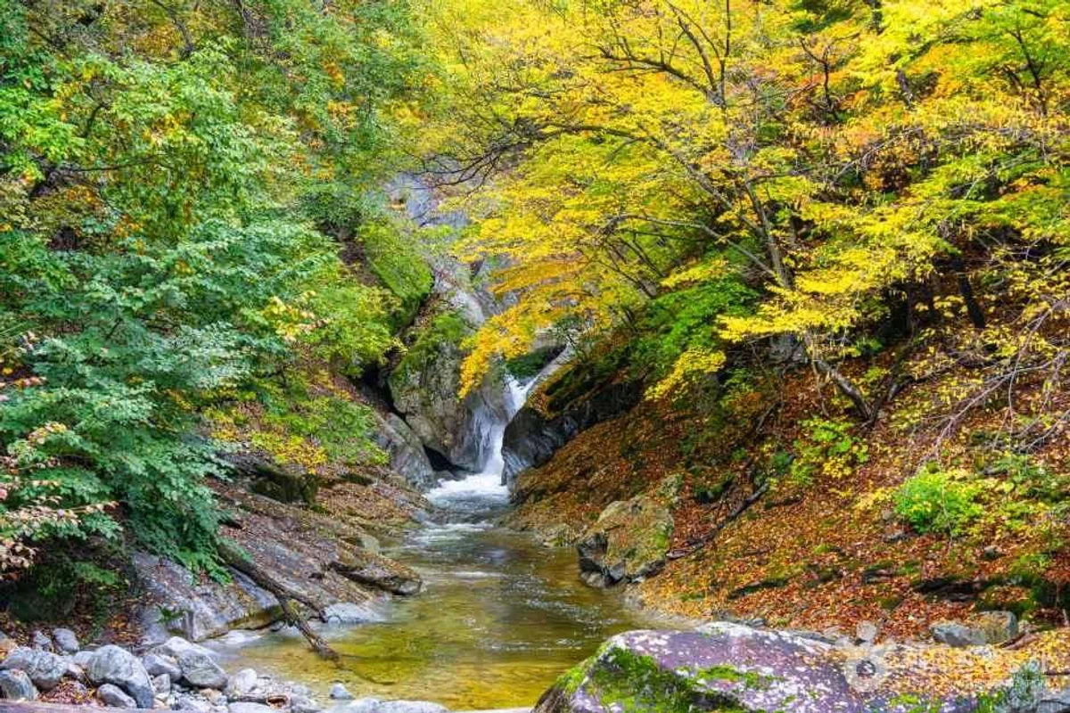한화리조트 설악 워터피아 - 설악산 여행