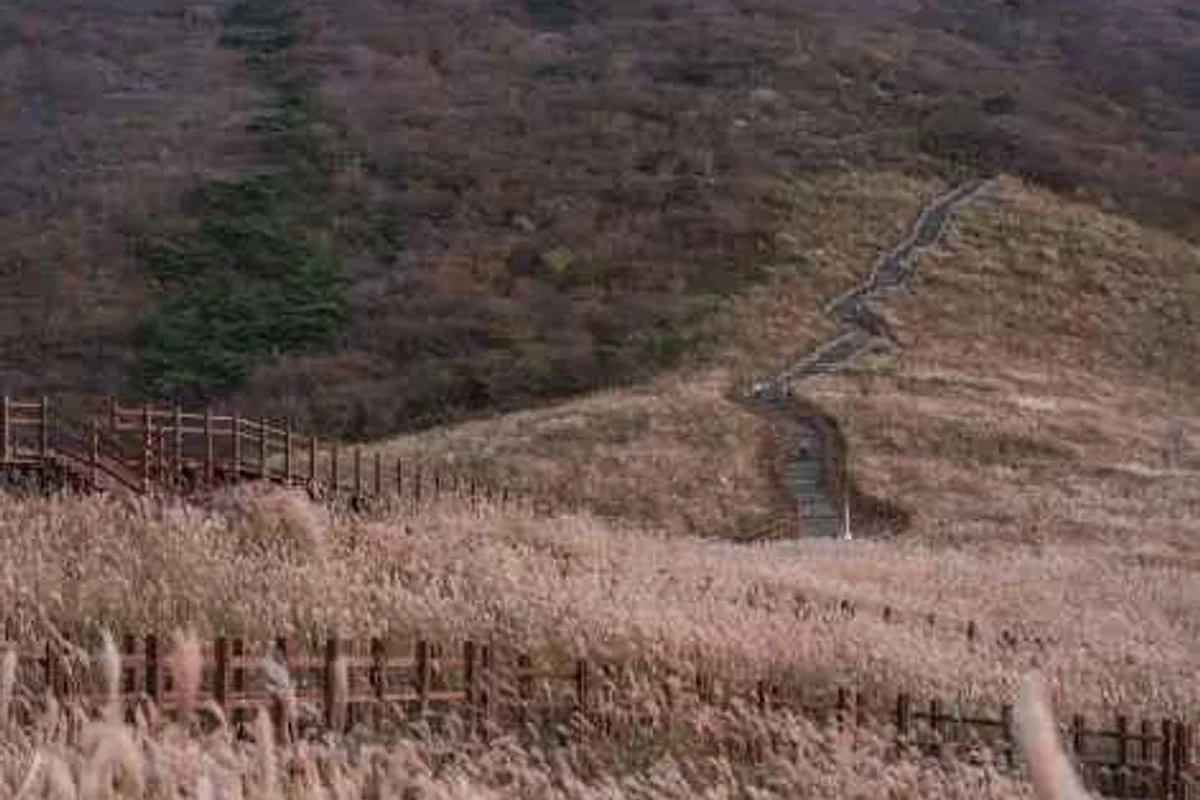 Fe01 재생복합문화공간 - 울산여행 여행