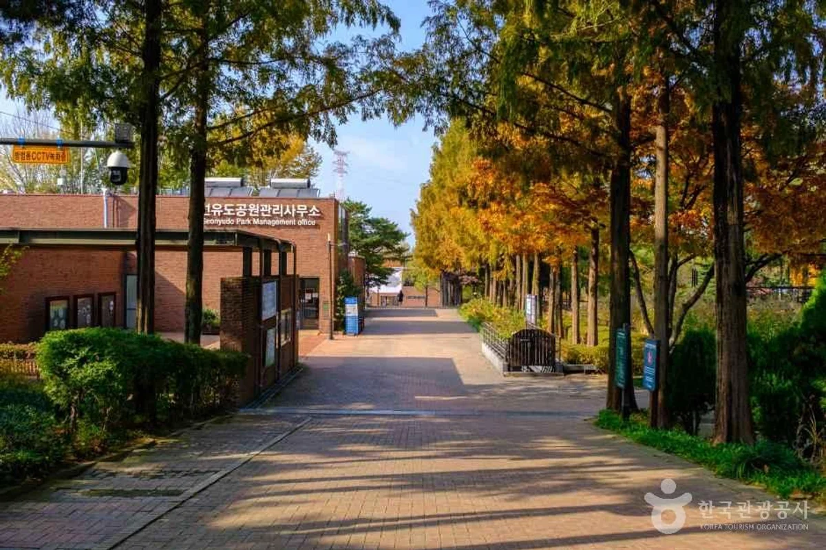 안양천 캠핑존 - 영등포 여행