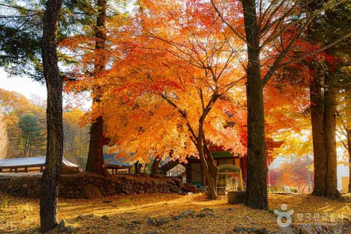 남양주시 야경 (출처 : 한국관광공사)