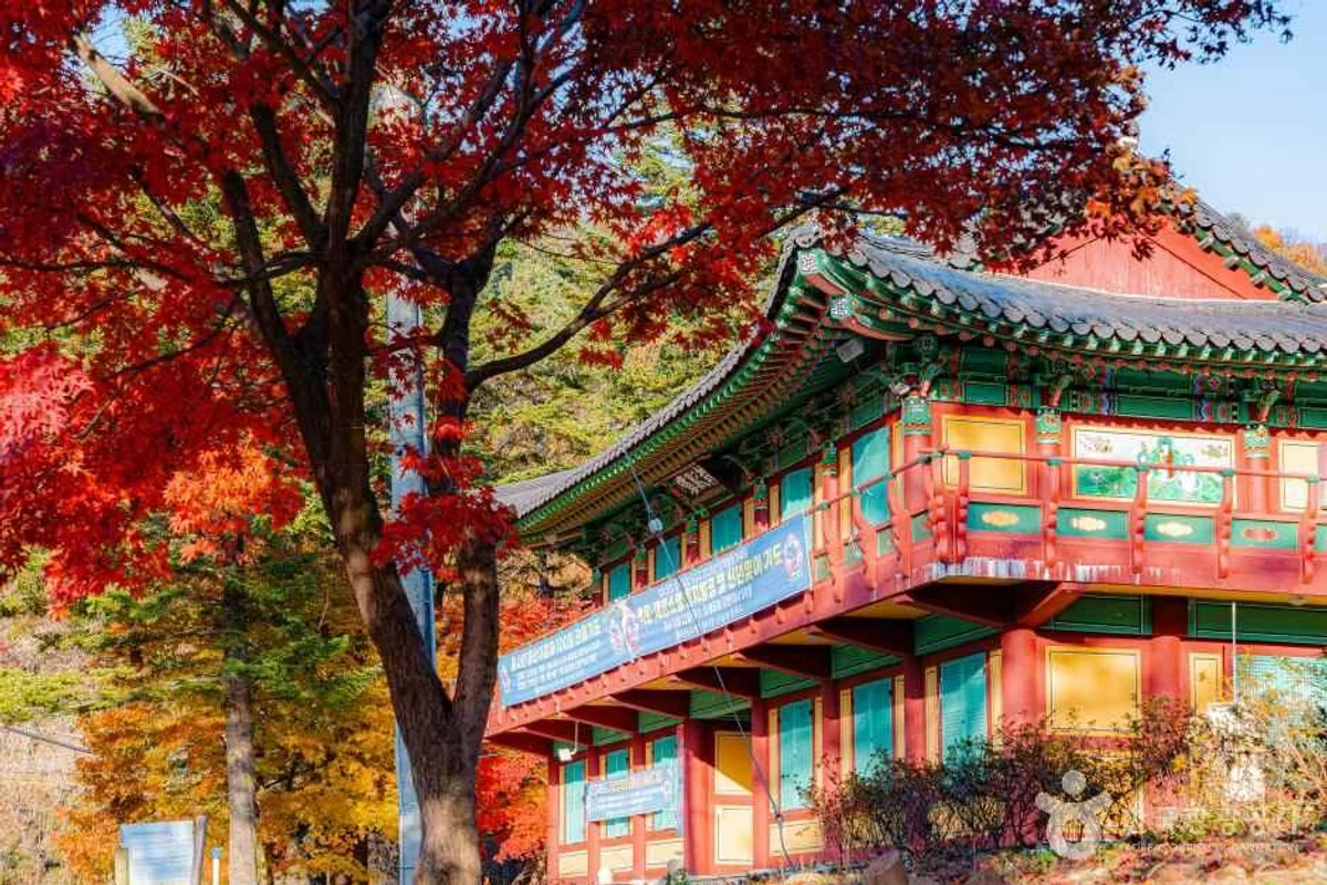 예봉산 - 남양주야경 여행