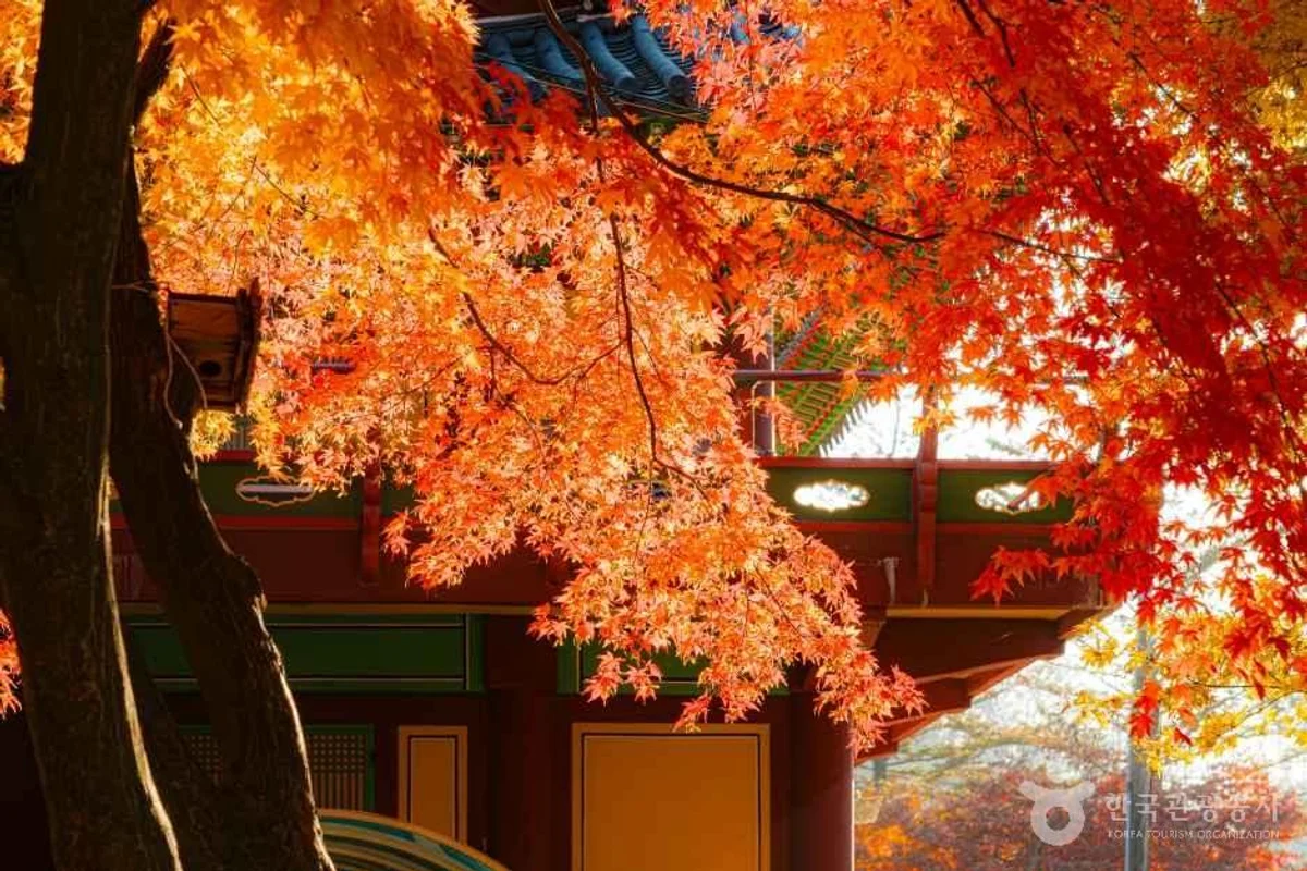 팔당호반 - 남양주야경 여행