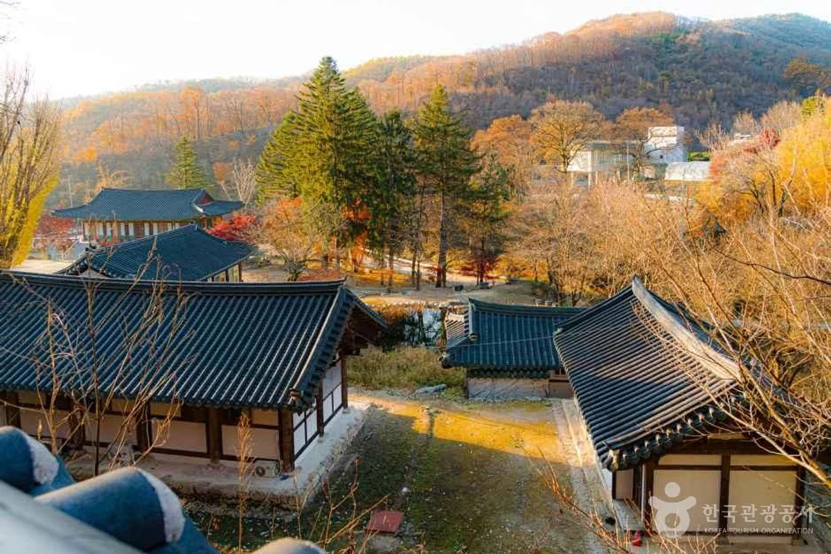 농협경제지주 안성팜랜드 - 경기여행 여행