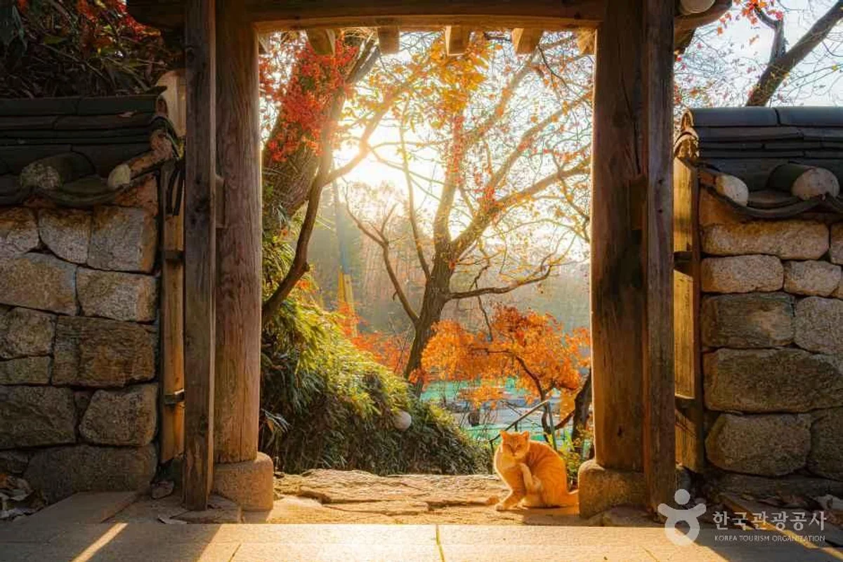 아쿠아플라넷 일산 - 고양단체여행 여행