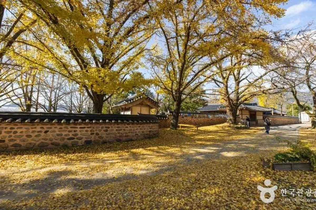 죽도 상화원 - 보령여행 여행