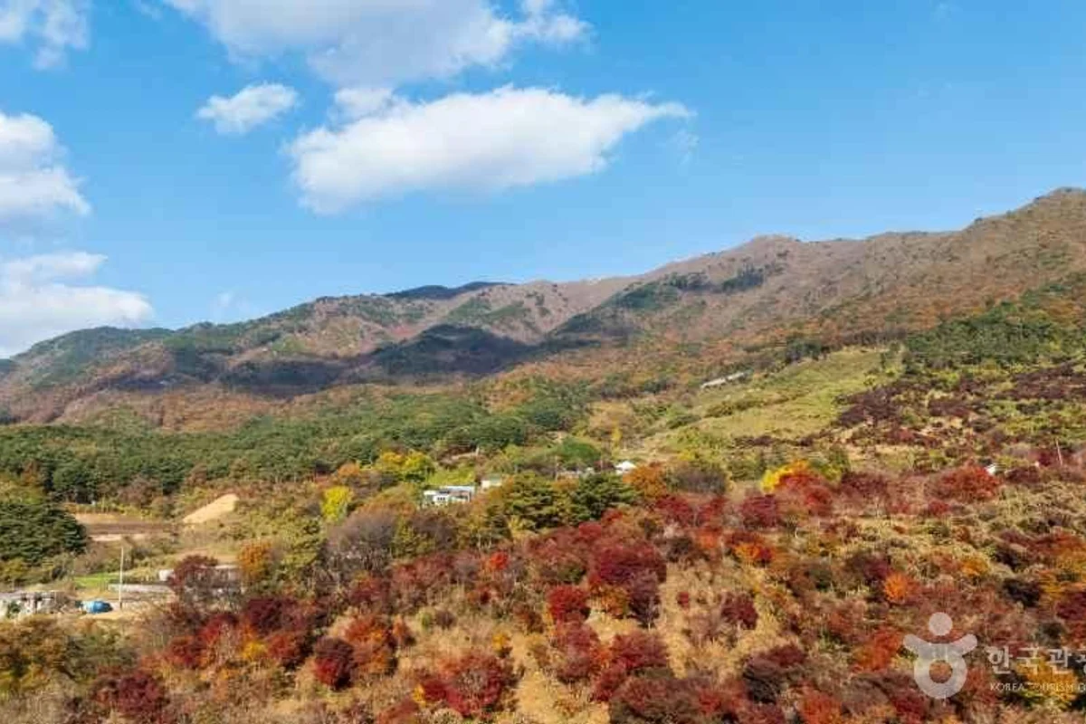 보령시 혼자 여행 (출처 : 한국관광공사)