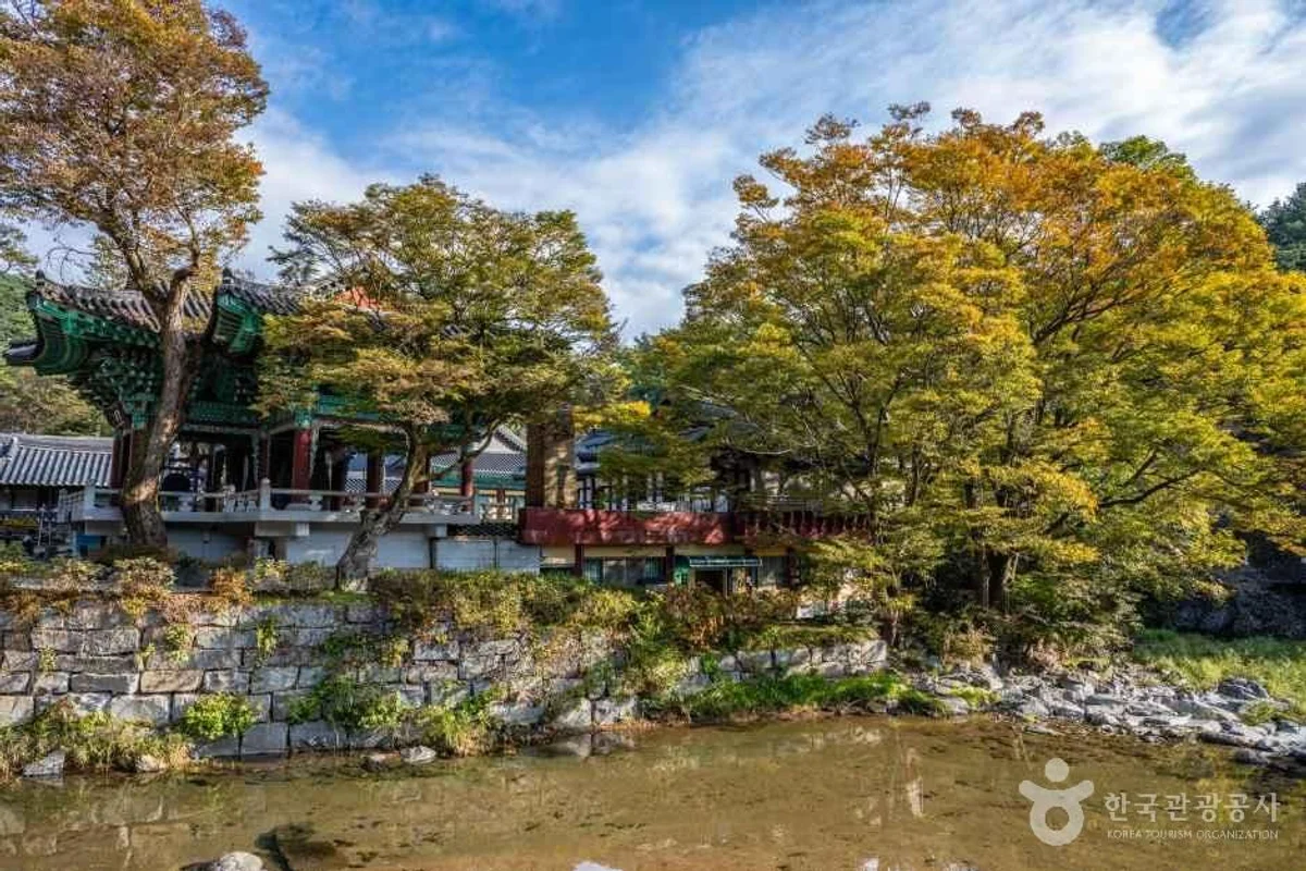 송암사 - 세종시사찰 여행