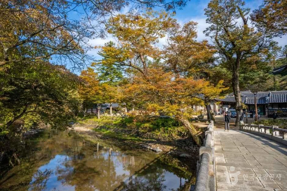 베스트필드 글램핑 - 공주여행 여행