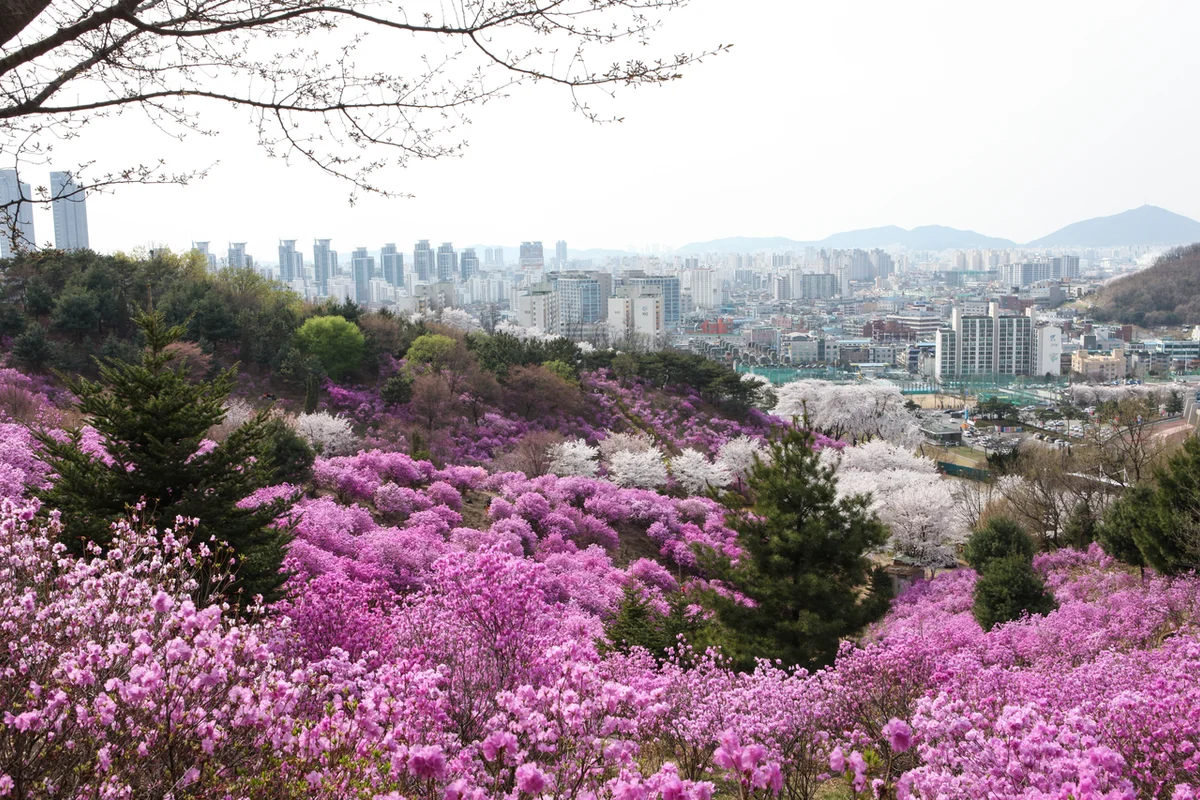 상동호수공원 & 부천호수식물원 수피아 - 부천시한옥마을 여행