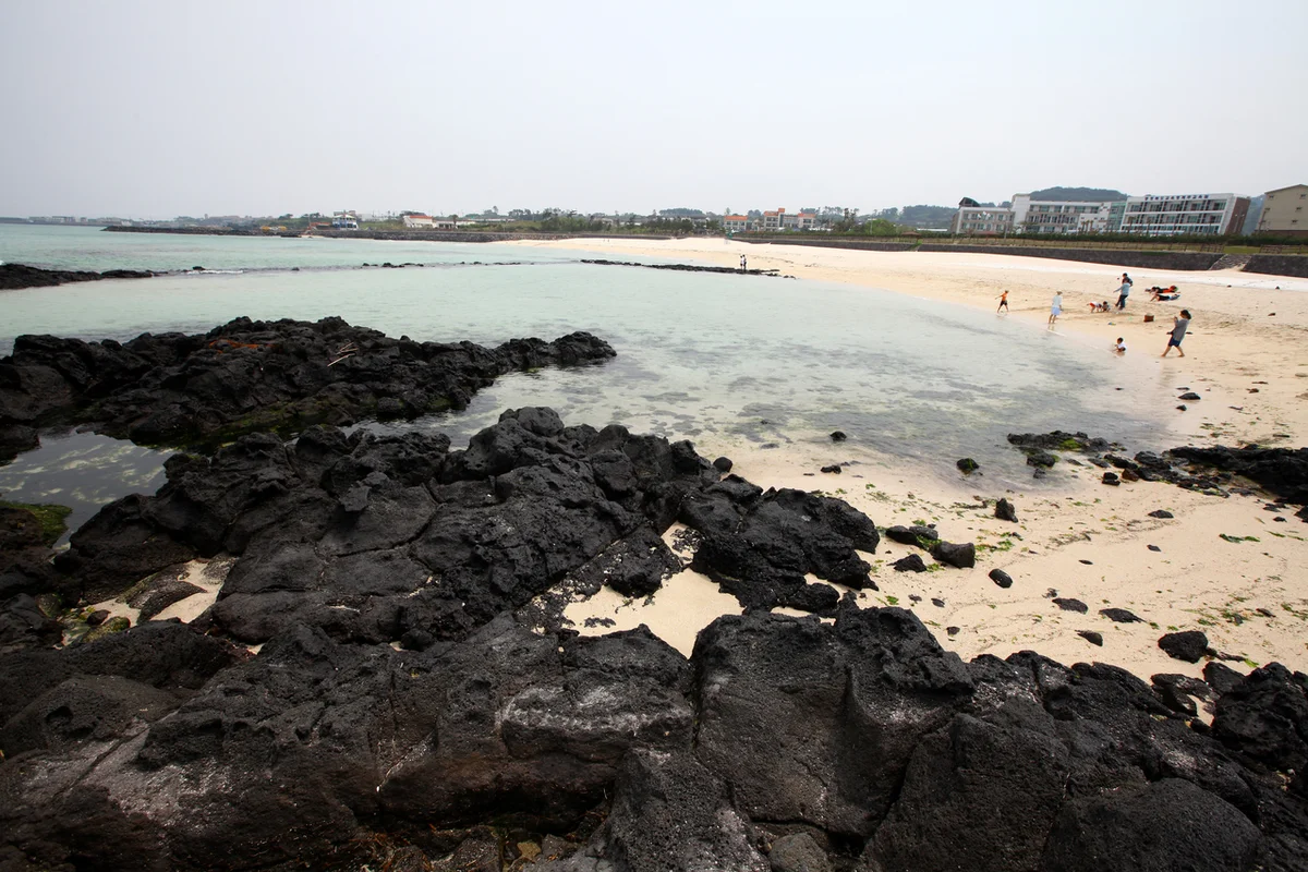 제주도서핑 문서프 - 곽지서핑 여행