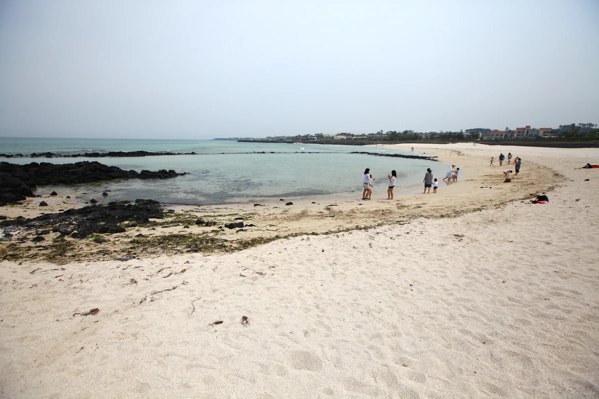 제주도서핑 서프론트 곽지: 곽지 서핑의 추억을 사진으로 - 곽지서핑 여행