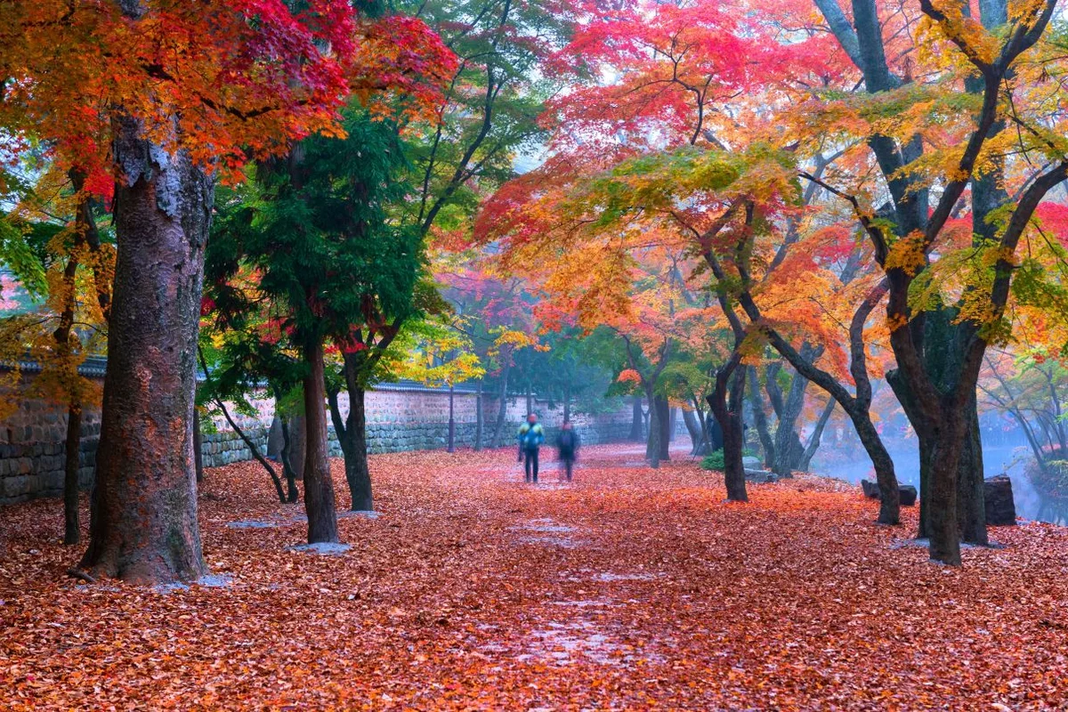 선운사 짚라인 (출처 : 한국관광공사)