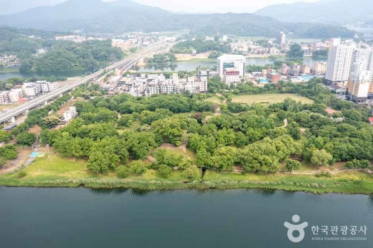 속초중앙시장 자전거 도로 - 속초여행 여행
