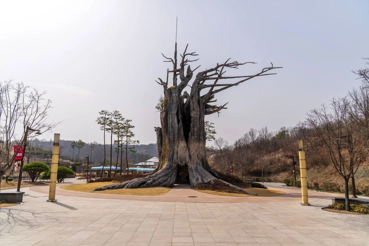 군위 해안 산책로, 여름 풍경을 걷다 - 군위여행 여행