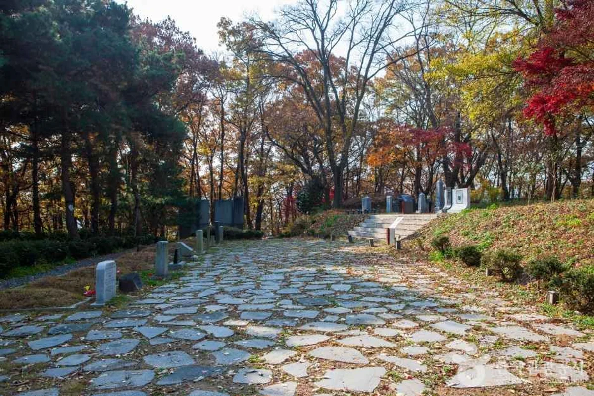 양림동 자전거길 (출처 : 한국관광공사)
