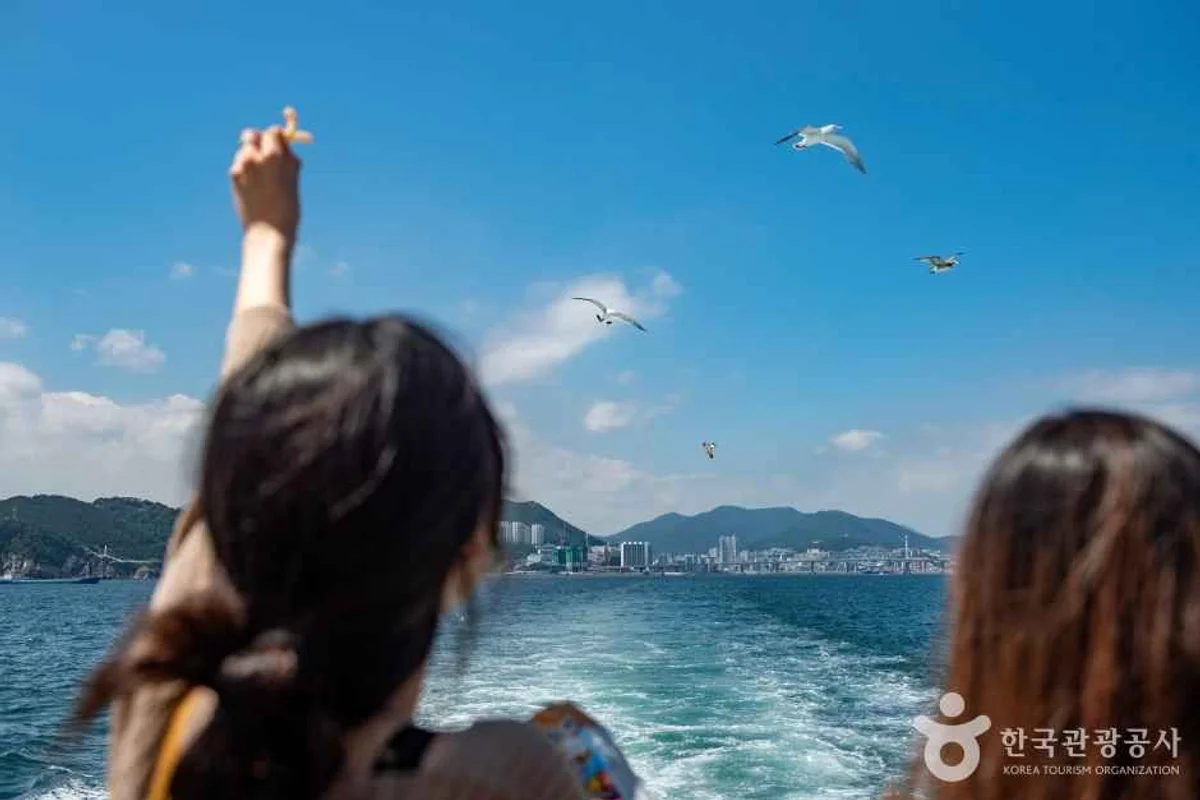 자갈치크루즈 - 남포동수목원 여행