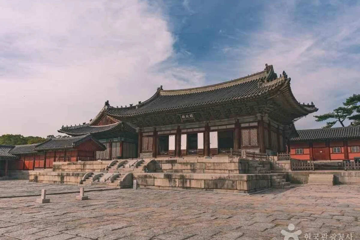 창경궁 - 대학로 패러글라이딩 여행