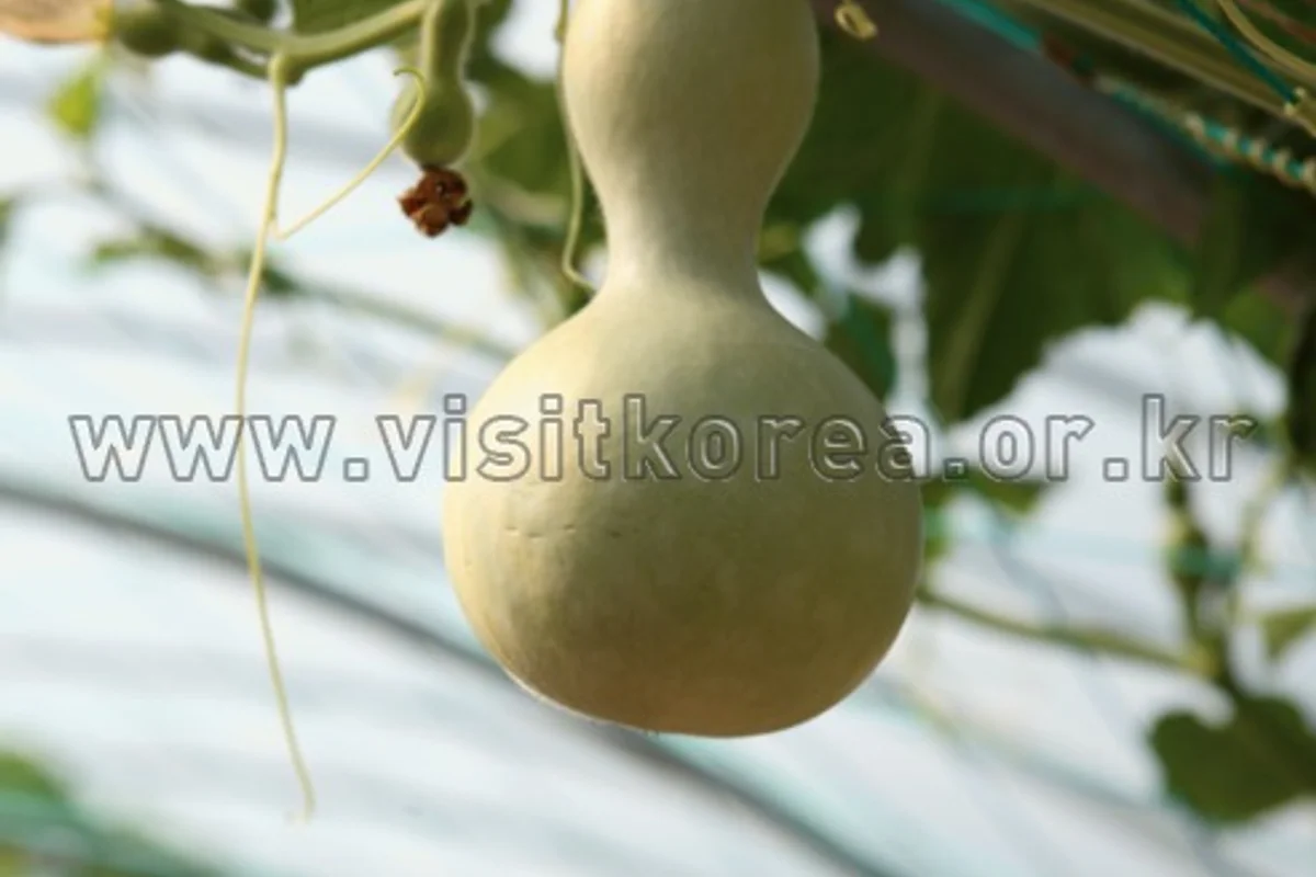 함평군 자전거 도로 (출처 : 한국관광공사)
