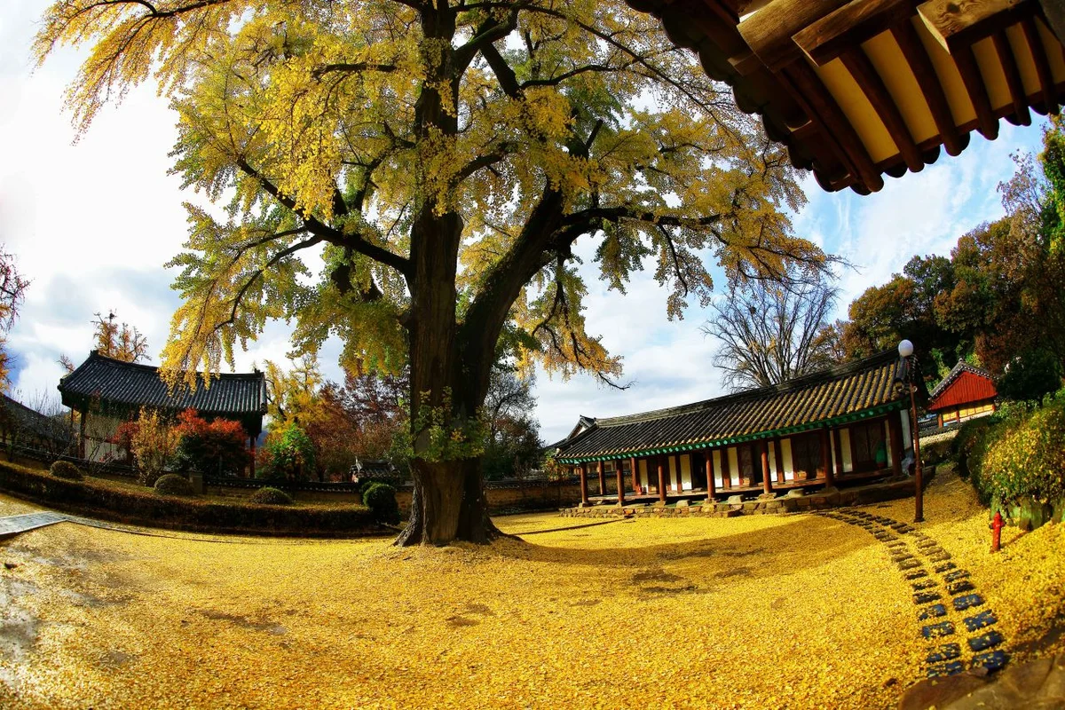 전주 한옥마을 - 전북여행 여행