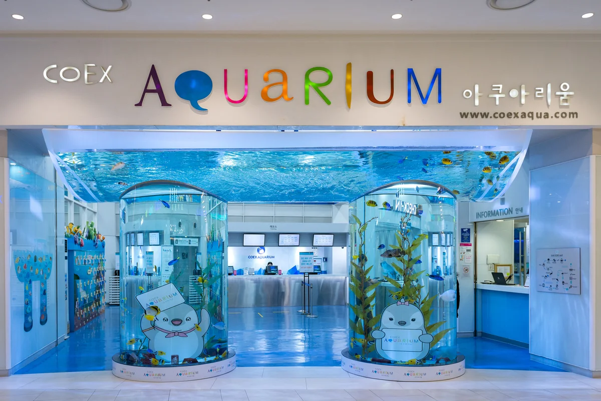 스타필드 코엑스몰 - 코엑스데이트 여행
