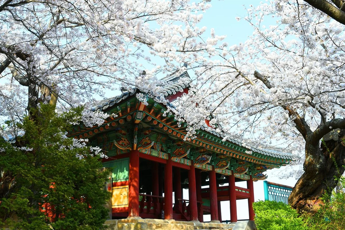 경포대 여행코스 (출처 : 한국관광공사)