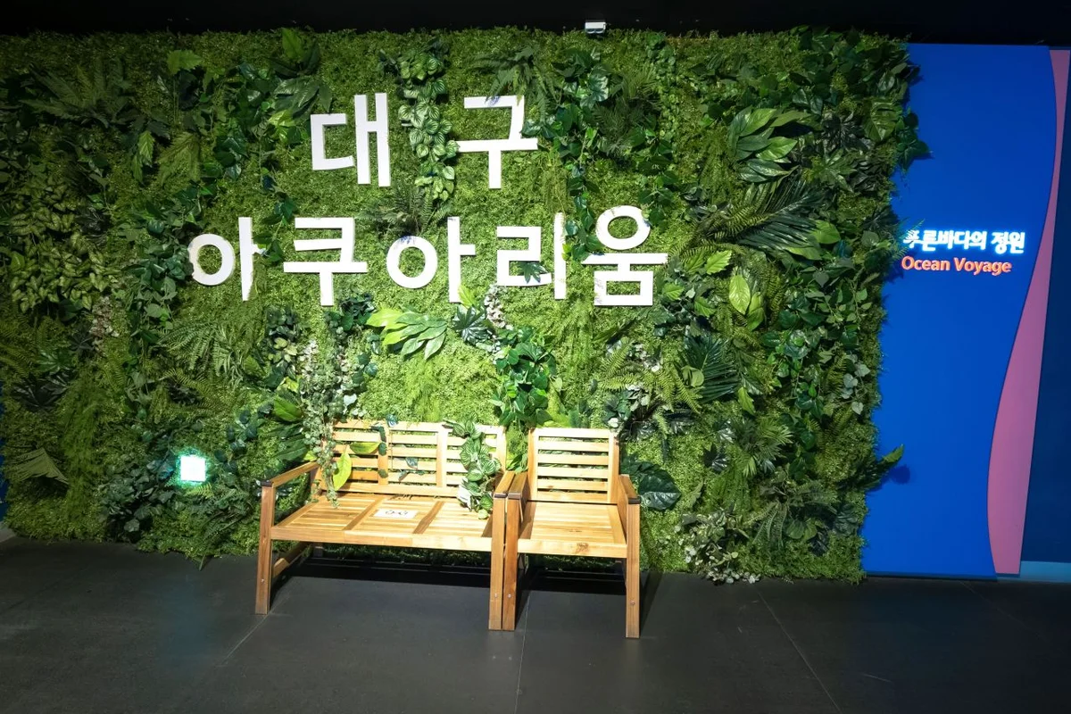 대구아쿠아리움 - 동해안여행 여행