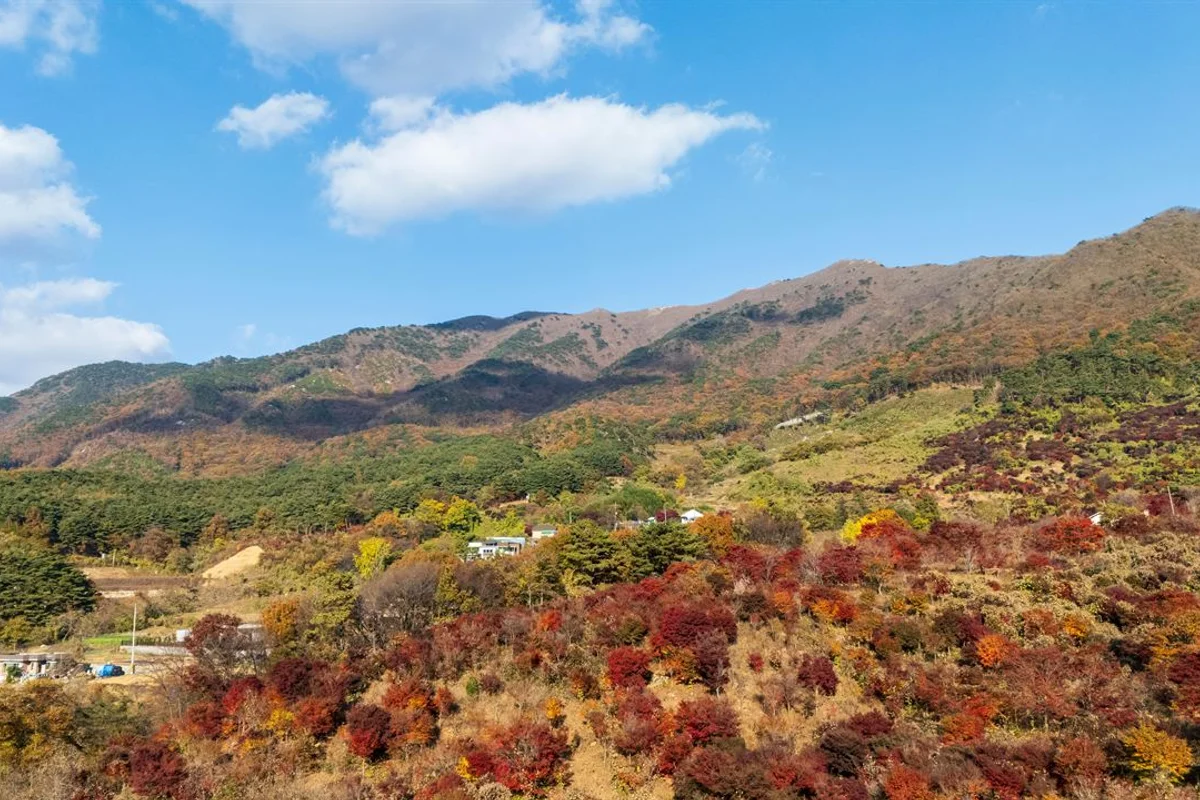 보령 숙소 BEST 10 (출처 : 한국관광공사)