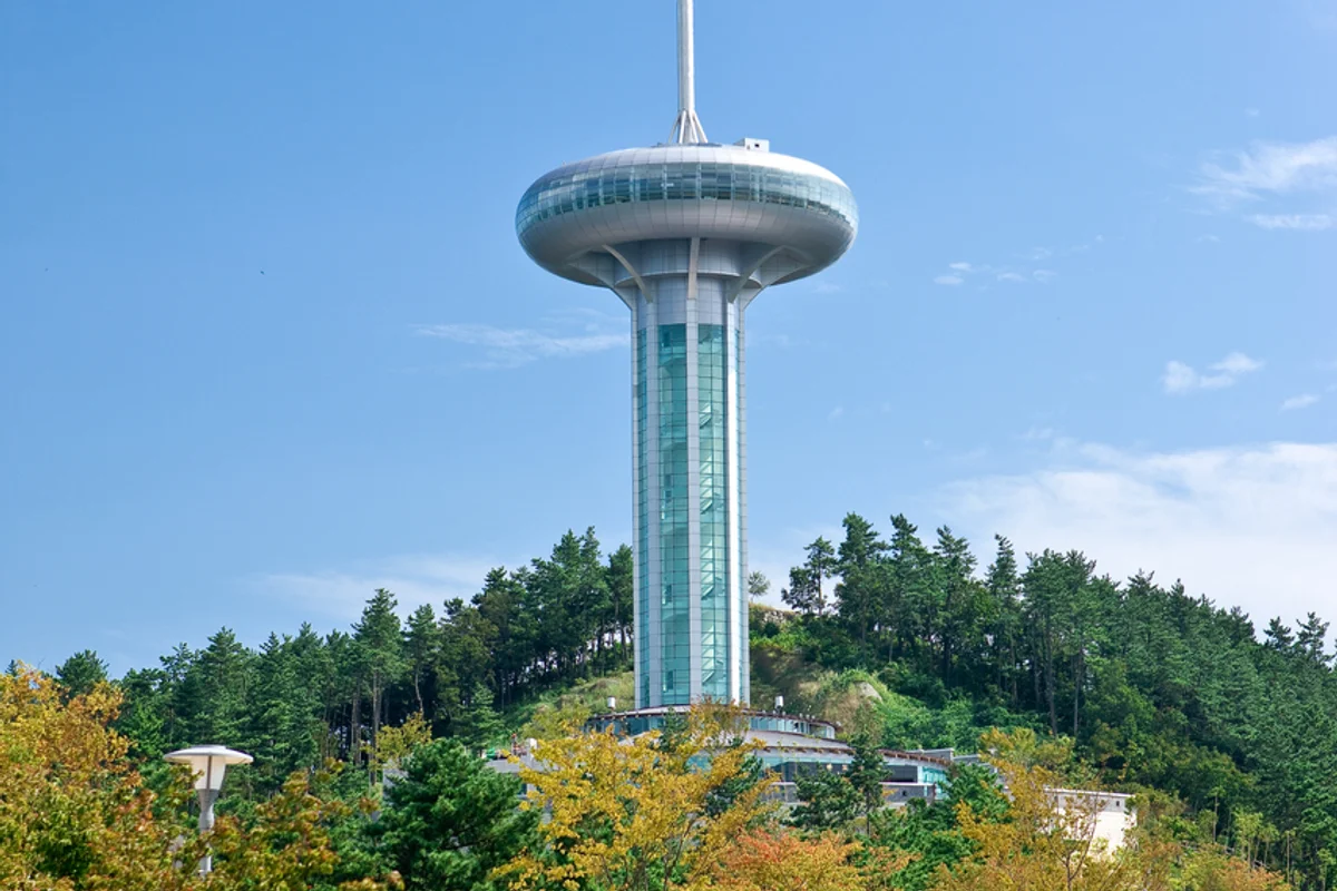 완도타워 - 완도여행 여행