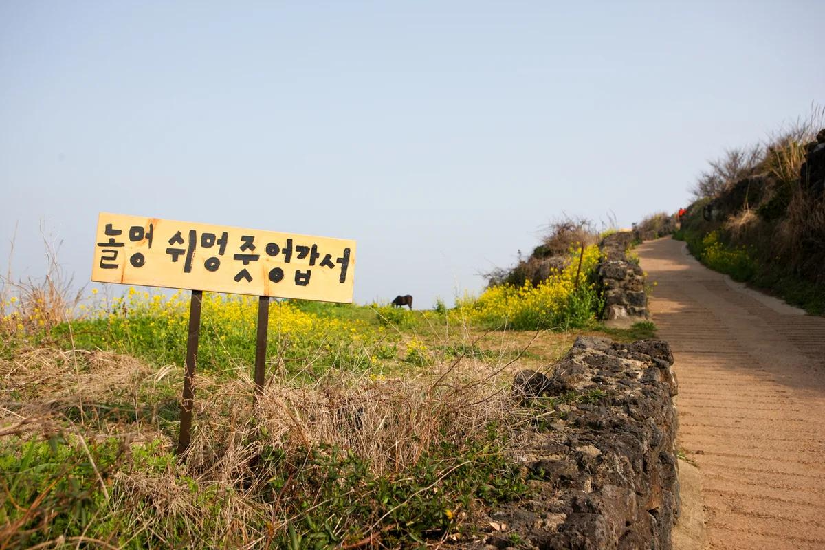 서우봉둘레길 - 제주여행 여행