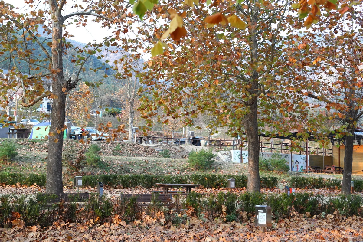 주왕산 - 주왕산스노클링 여행