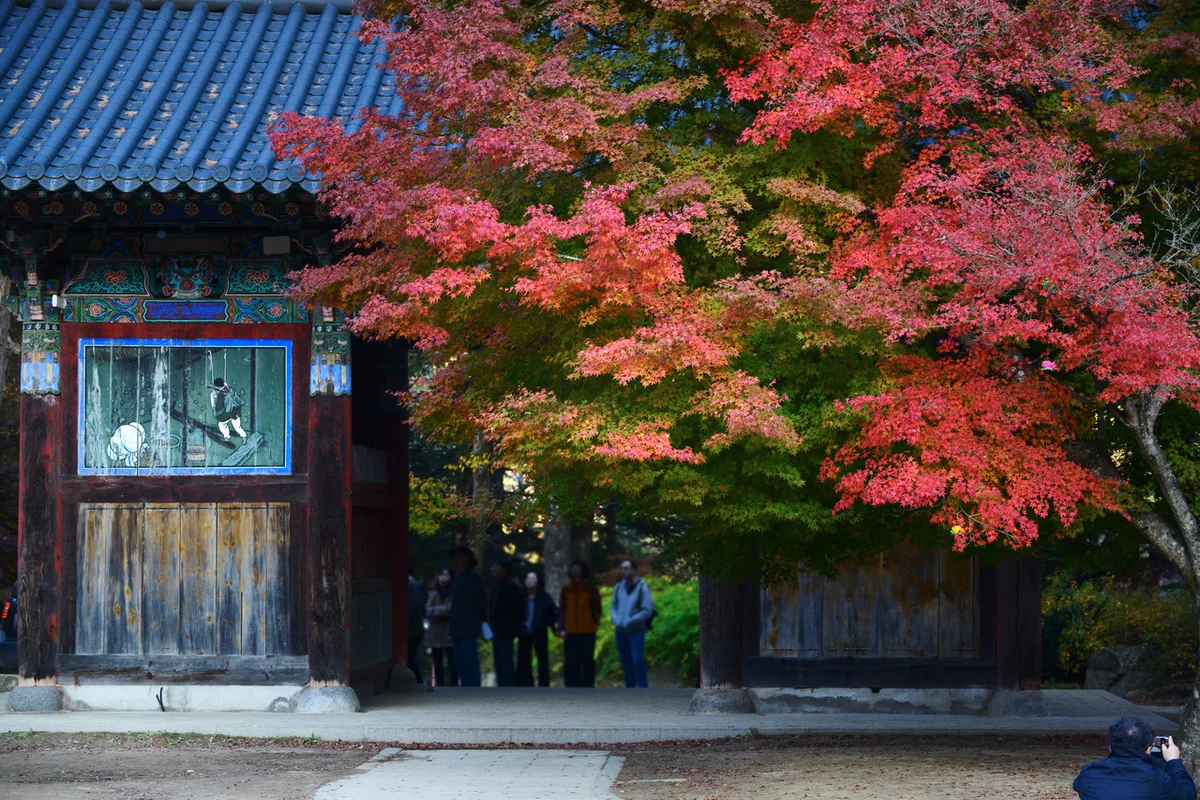 월정사 가을 여행 (출처 : 한국관광공사)