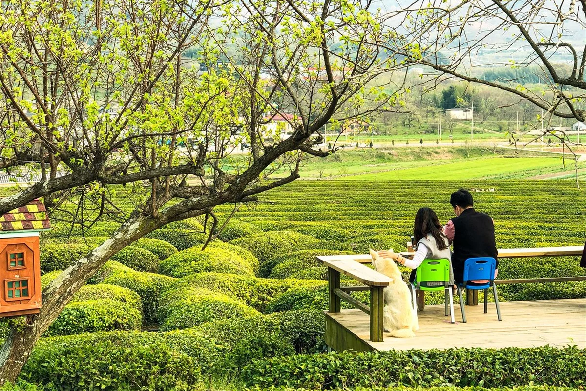 하동군 아이와 가볼만한곳 (출처 : 한국관광공사)