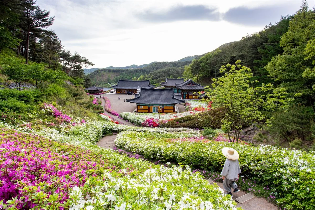 청양군 아이와 가볼만한곳 (출처 : 한국관광공사)