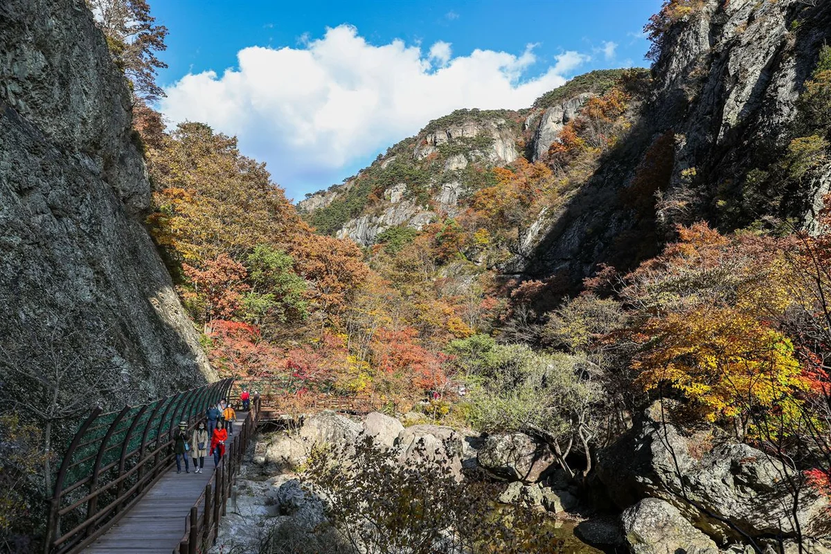 절골계곡 - 주왕산스노클링 여행