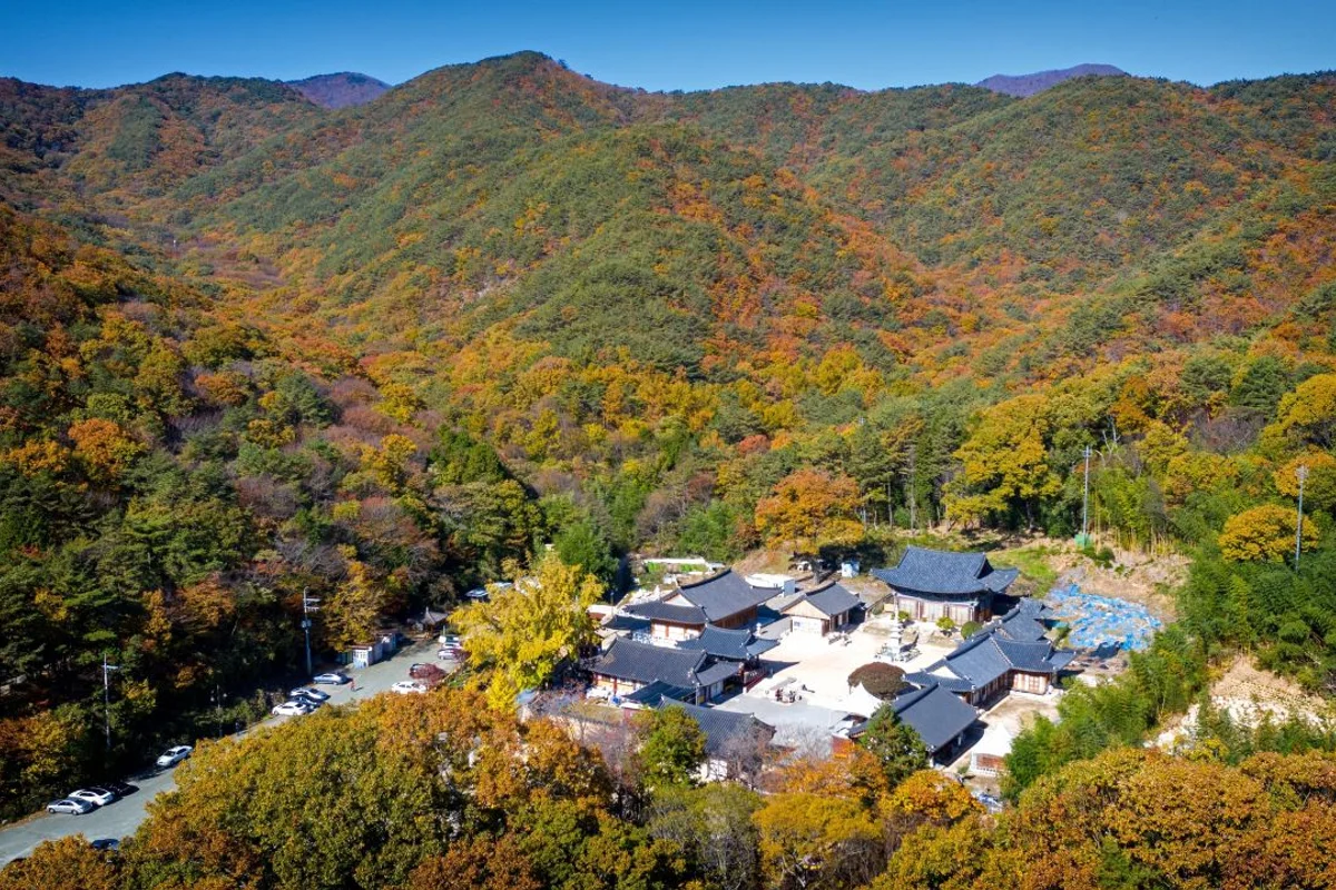 장안사 - 기장여행 여행