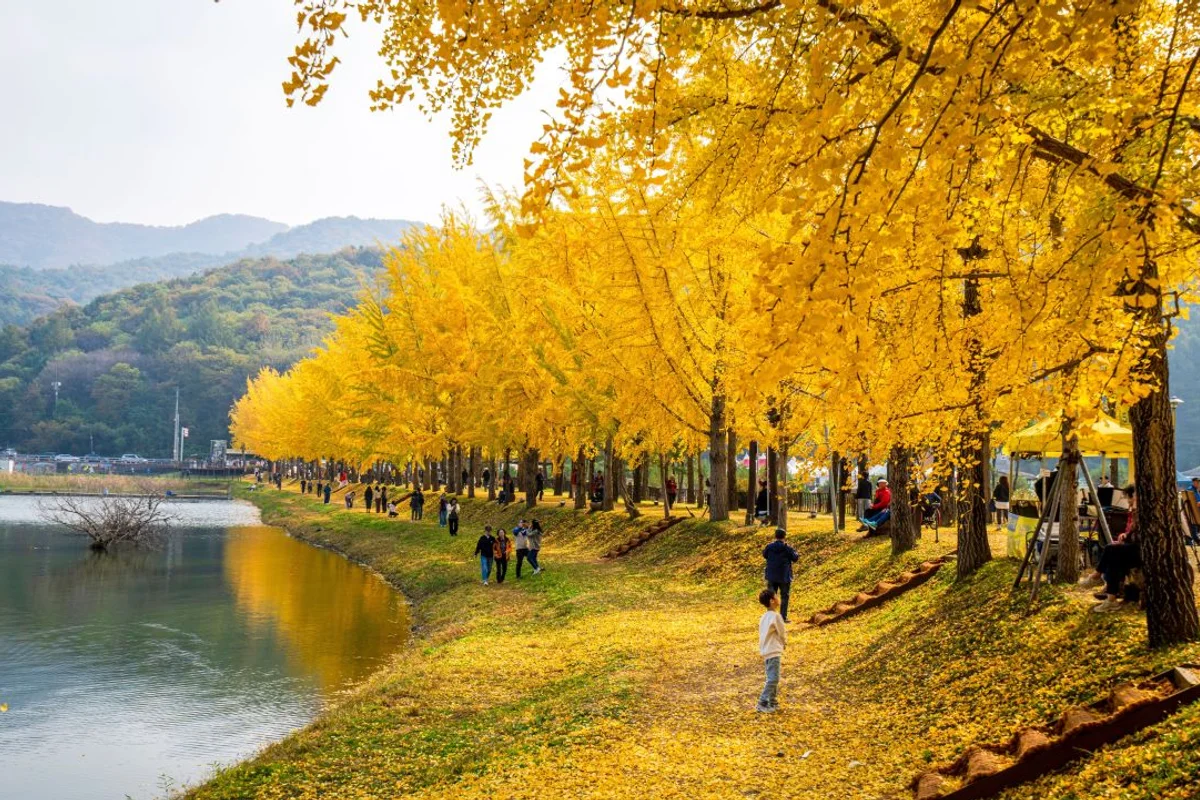 문광저수지 - 괴산군 일몰 명소 여행