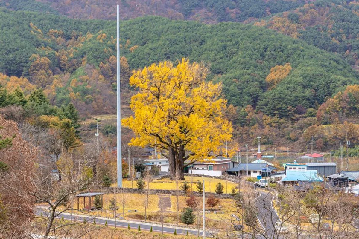 함양 단풍 명소 (출처 : 한국관광공사)